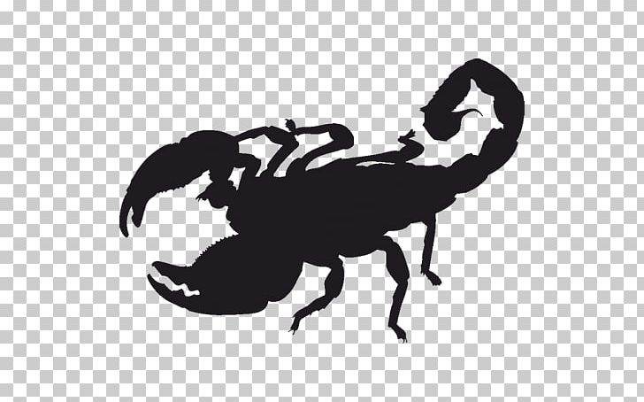 Scorpion Silhouette PNG, Clipart, Arthropod, Black And White, Decal, Drawing, Insects Free PNG Download