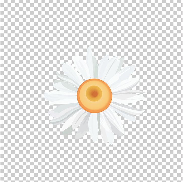Yellow Circle Pattern PNG, Clipart, Chrysanthemum, Chrysanthemum Chrysanthemum, Chrysanthemum Flowers, Chrysanthemums, Chrysanthemum Tea Free PNG Download