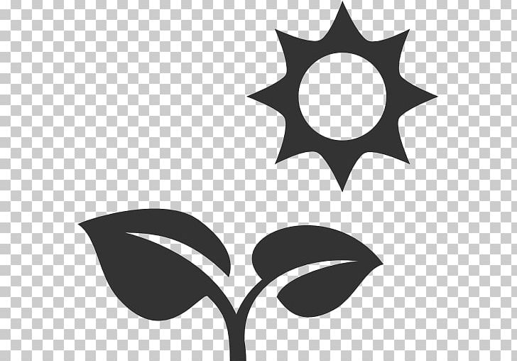 Computer Icons Desktop Roselle Icon Design PNG, Clipart, Artwork, Black, Black And White, Branch, Computer Icons Free PNG Download