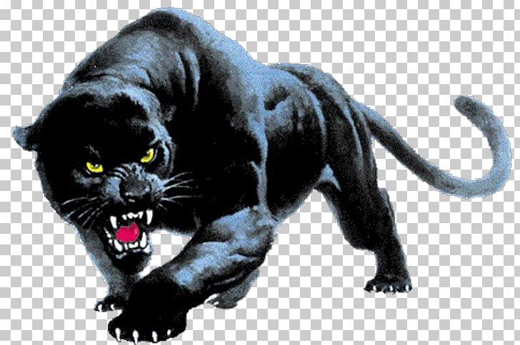 Panther Desktop PNG, Clipart, Aggression, Animals, Big Cat, Big Cats, Black Panther Free PNG Download