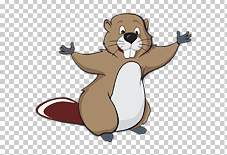 Beaver Cartoon Drawing PNG, Clipart, Animal, Animals, Bear, Beaver Character, Beaver Dam Free PNG Download