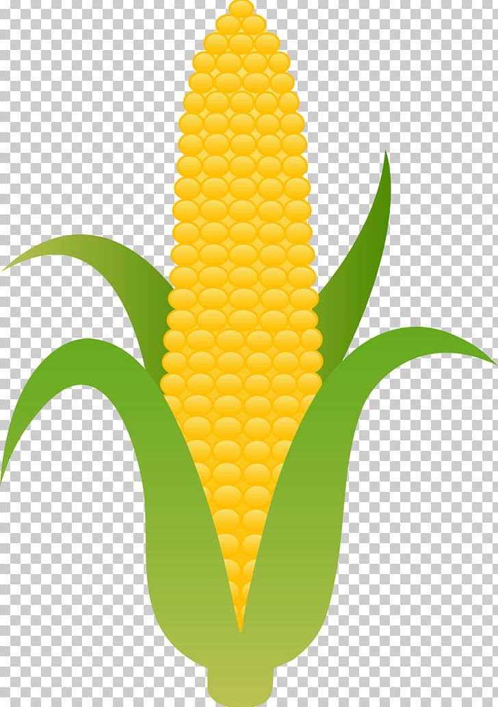 Corn On The Cob Candy Corn Maize PNG, Clipart, Candy Corn, Clip Art, Commodity, Corn, Corncob Free PNG Download