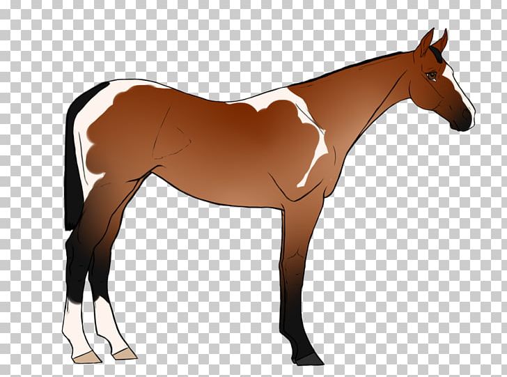 Horse Stallion Foal Mare Halter PNG, Clipart, Animal, Animals, Bit, Bridle, Colt Free PNG Download