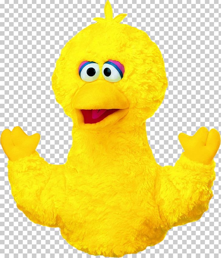 Big Bird Count Von Count Hand Puppet Toy PNG, Clipart, Beak, Big Bird, Bird, Bird Count, Character Free PNG Download