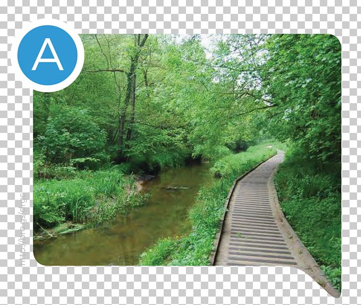 North York Moors Forge Valley North Yorkshire National Park Nature Reserve PNG, Clipart,  Free PNG Download