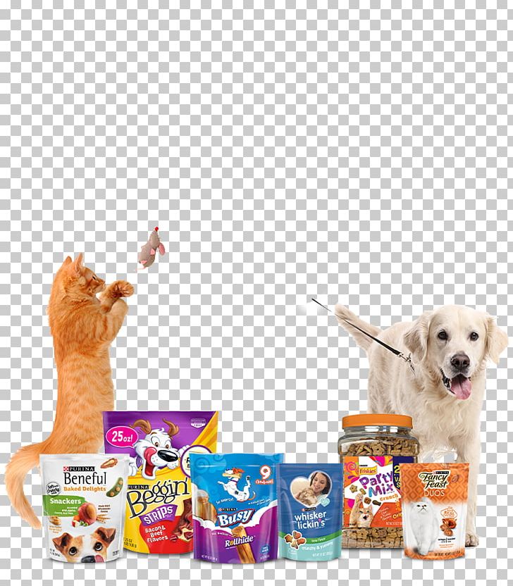 Puppy Beneful Baked Delights Dog Snacks Snackers Beneful Baked Delights Dog Snacks Snackers Food PNG, Clipart, Beneful, Dog, Dog Biscuit, Dog Breed, Dog Food Free PNG Download