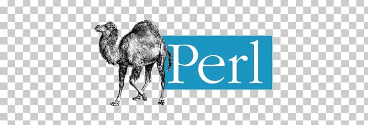Perl Dynamic Programming Language Scripting Language Computer Programming PNG, Clipart, Black And White, Brand, Camel, Camel Like Mammal, Computer Programming Free PNG Download