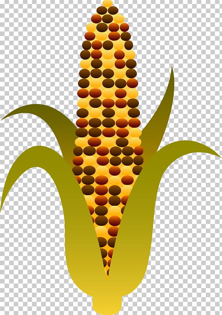 Candy Corn Corn On The Cob Maize Sweet Corn PNG, Clipart, Autumn, Candy Corn, Corn On The Cob, Ear, Fall Corn Cliparts Free PNG Download