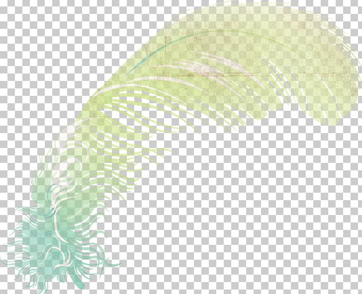 Feather Leaf PNG, Clipart, Animals, Feather, Green, Leaf, Organism Free PNG Download