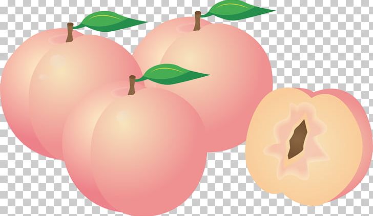 Longevity Peach Sticker PNG, Clipart, Apple, Diet Food, Food, Fruit, Fruit Nut Free PNG Download