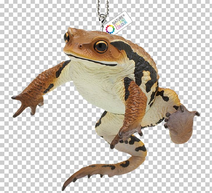 Toad True Frog Gashapon Goods PNG, Clipart, Amphibian, Frog, Gashapon, Goods, Green Sea Turtle Free PNG Download