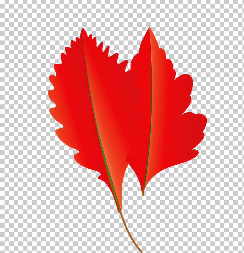 Fern PNG, Clipart, Autumn Leaf, Biology, Cartoon Leaf, Computer, Fall Leaf Free PNG Download