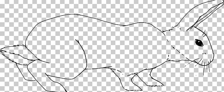 Domestic Rabbit Hare Whiskers Line Art Drawing PNG, Clipart, Angle, Animal, Animal Figure, Animals, Area Free PNG Download