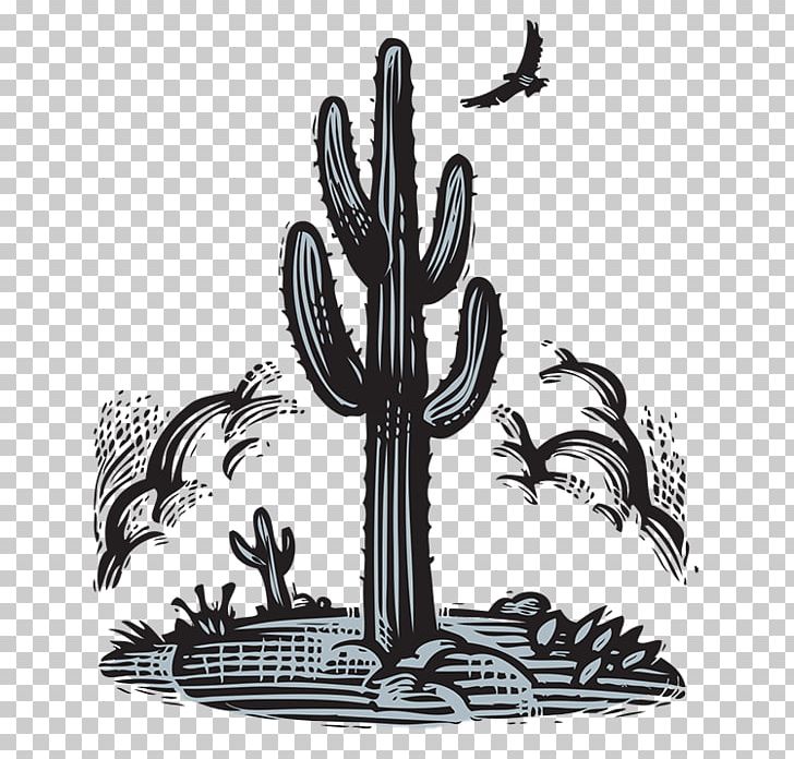 Drawing Cactaceae Computer Icons PNG, Clipart, Bill Russell, Black And White, Cactaceae, Cactus, Computer Icons Free PNG Download