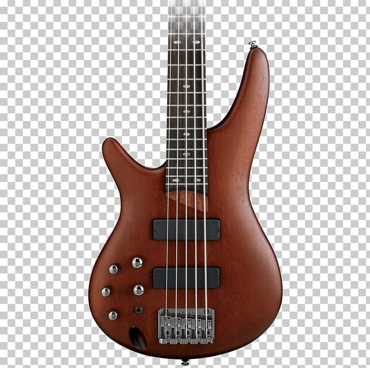 Fender Precision Bass Ibanez Bass Guitar Musical Instruments String Instruments PNG, Clipart, Acoustic Electric Guitar, Bass, Bass Guitar, Bassist, Double Bass Free PNG Download