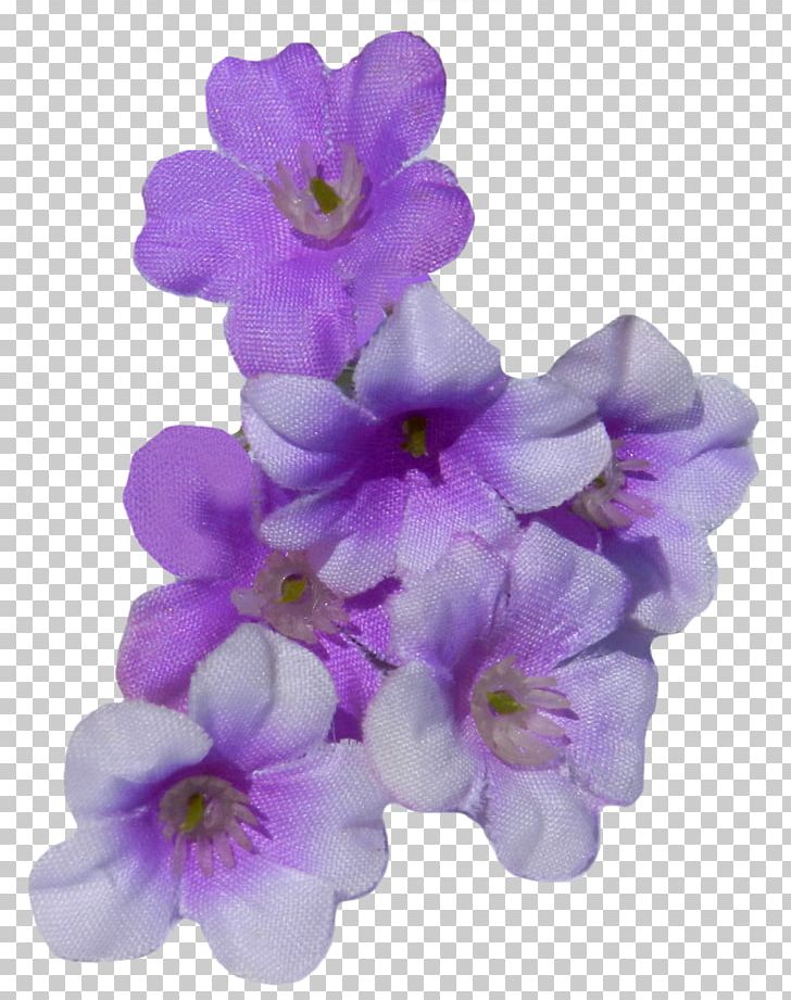 Moth Orchids PNG, Clipart, Clo, Etiquette, Fleur, Flower, Flowering Plant Free PNG Download