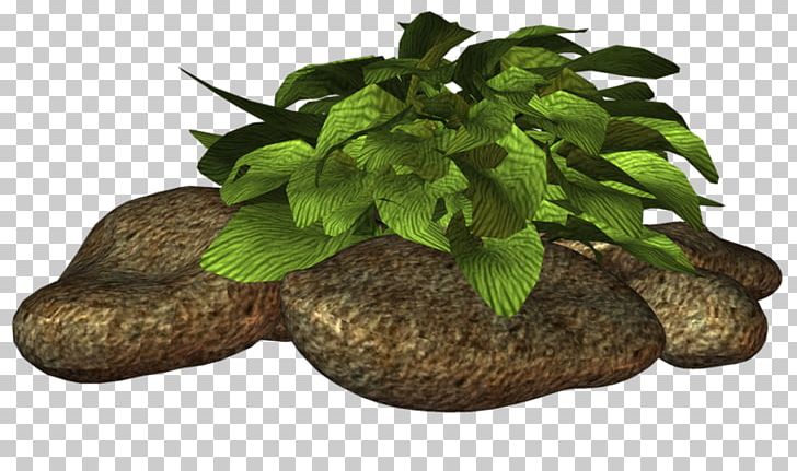 Herb Flowerpot Tree PNG, Clipart, Flowerpot, Garden, Grass, Herb, Nature Free PNG Download