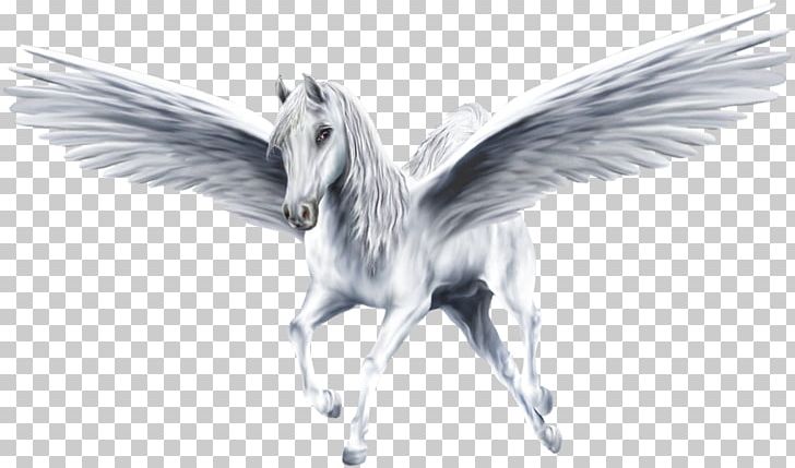 Pegasus PNG, Clipart, Pegasus Free PNG Download