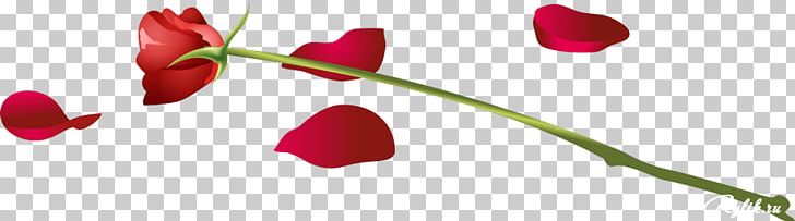 Desktop S Love Symbol Heart PNG, Clipart, Bud, Closeup, Desktop Wallpaper, Flora, Flower Free PNG Download