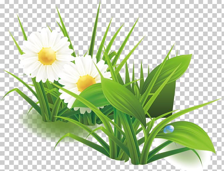 Green Lilium Flower PNG, Clipart, Adobe Illustrator, Aquarium Decor, Download, Elements Vector, Euclidean Vector Free PNG Download