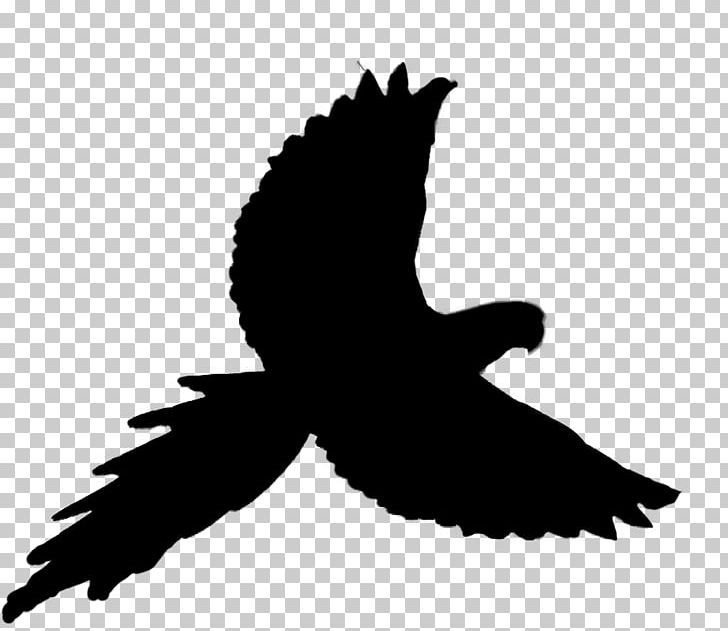 Parrot Bird Macaw PNG, Clipart, Animals, Beak, Bird, Bird Of Prey, Black Free PNG Download