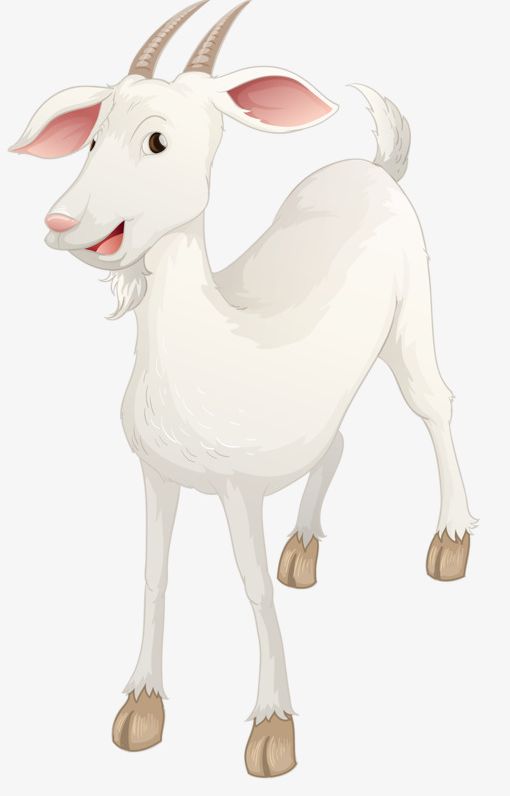White Goat PNG, Clipart, Animal, Backgrounds, Beard, Brown, Clip Art Free PNG Download