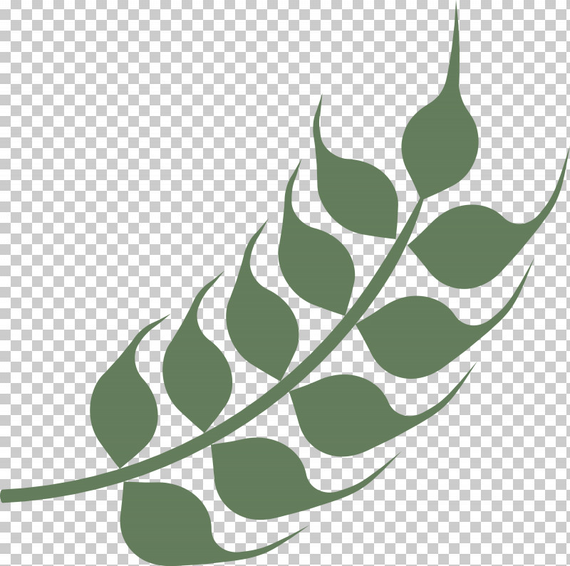 Wheat Ears PNG, Clipart, Biology, Green, Leaf, Line, Plants Free PNG Download