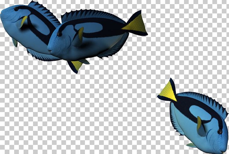 Fish Cartoon 3D Computer Graphics PNG, Clipart, 3d Computer Graphics, Animals, Animation, Balloon Cartoon, Benthic Free PNG Download