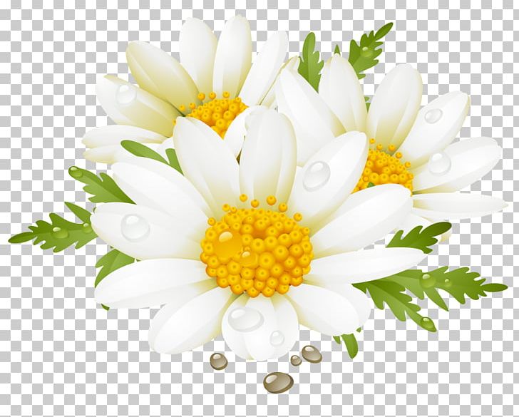 Flower Desktop Computer Icons PNG, Clipart, Chamaemelum Nobile, Chamomile, Chrysanths, Common Daisy, Computer Icons Free PNG Download