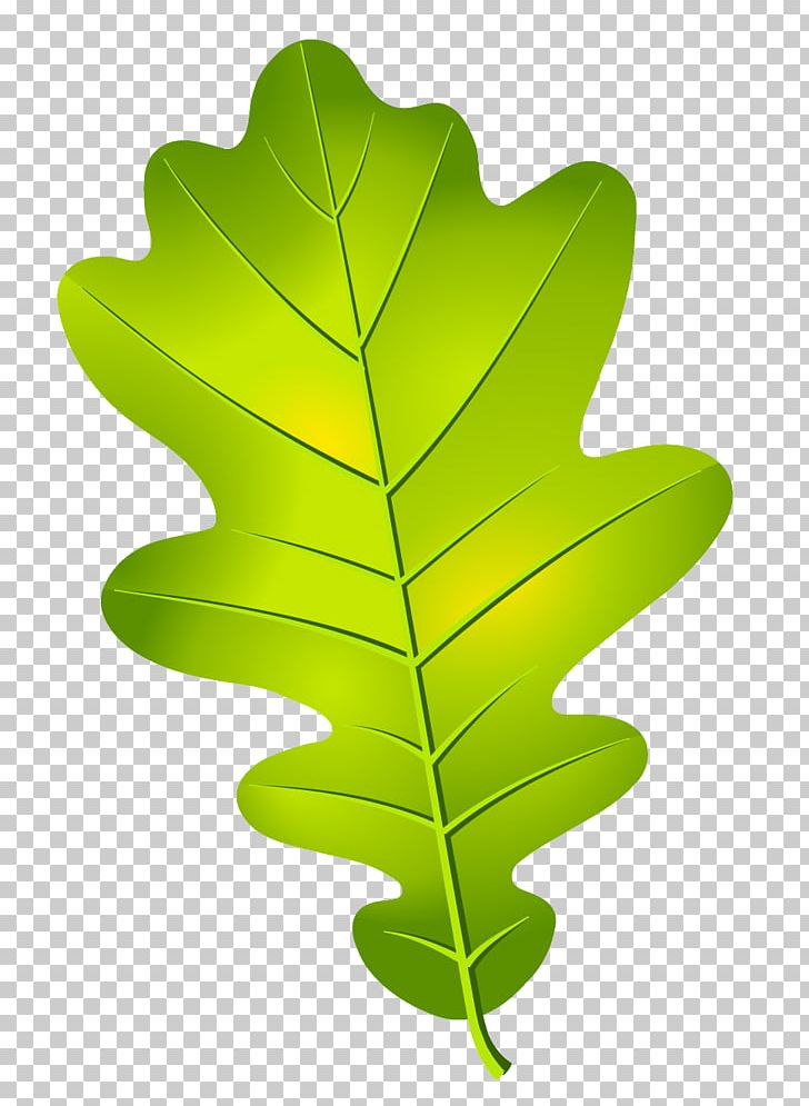 Oak Leaf Cluster Acorn PNG, Clipart, Acorn, Autumn Leaf Color, Drawing, Encapsulated Postscript, Leaf Free PNG Download