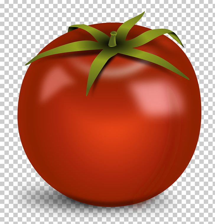 Portable Network Graphics Tomato Soup Transparency Salsa PNG, Clipart, Apple, Bush Tomato, Cherry Tomato, Christmas Ornament, Computer Icons Free PNG Download