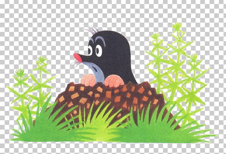 European Mole Drawing PNG, Clipart, Animal, Animation, Art, Beak, Bird Free PNG Download