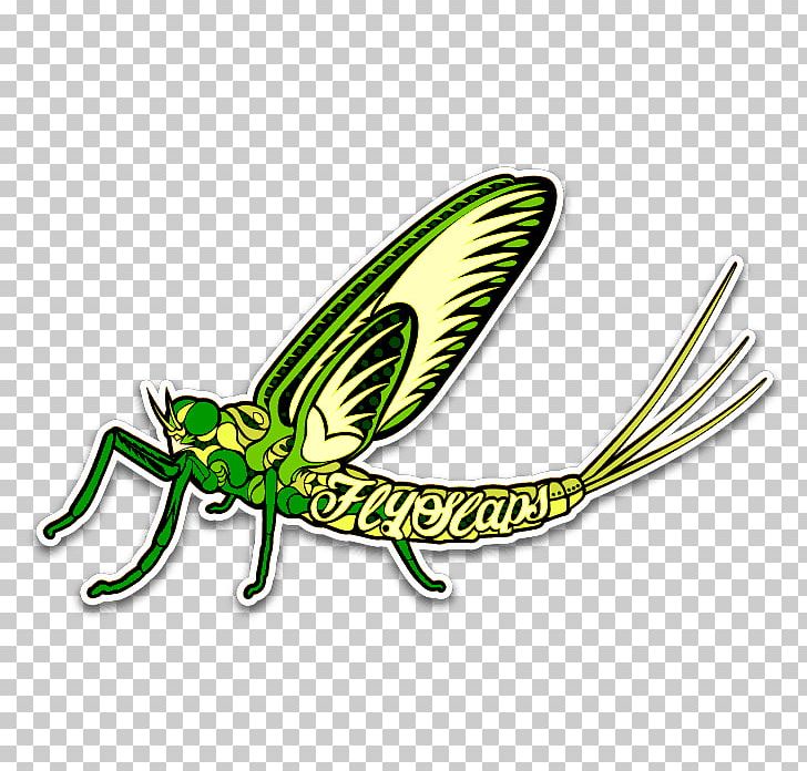 Insect Sticker Fly Fishing Fly Tying Wall Decal PNG, Clipart, Animal, Animals, Brown Trout, Decal, Drake Free PNG Download