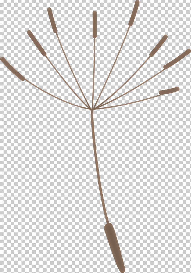 Dandelion PNG, Clipart, Angle, Dandelion, Geometry, Line, Mathematics Free PNG Download