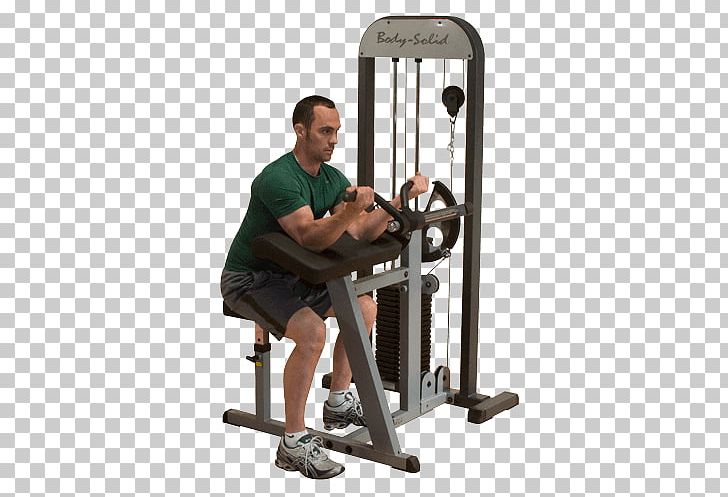 Triceps Brachii Muscle Biceps Human Body Arm Machine PNG, Clipart, Arm, Bench, Biceps, Calf, Dip Free PNG Download