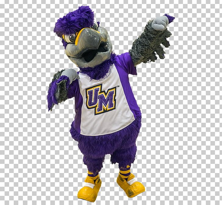 University Of Montevallo Mascot Michigan State University University Of Miami Freddie Falcon PNG, Clipart, Alabama Am University, Beak, Become, College, Costume Free PNG Download