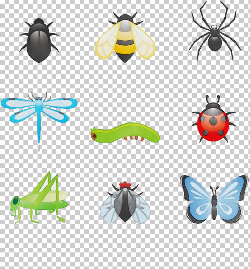 Beetles Fly Collage Insects Cartoon PNG, Clipart, Beetles, Cartoon, Collage, Fly, Insects Free PNG Download