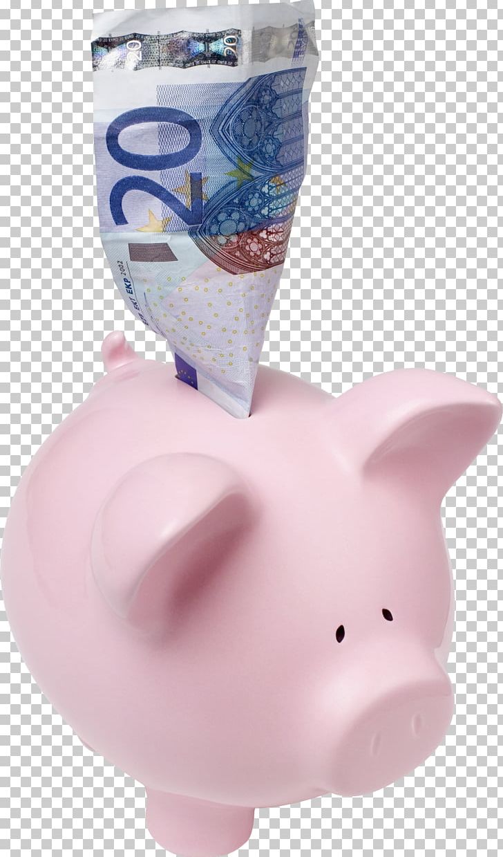 Money Paper Coin Domestic Pig Piggy Bank PNG, Clipart, Bank, Banknote, Coin, Credit, Document Free PNG Download