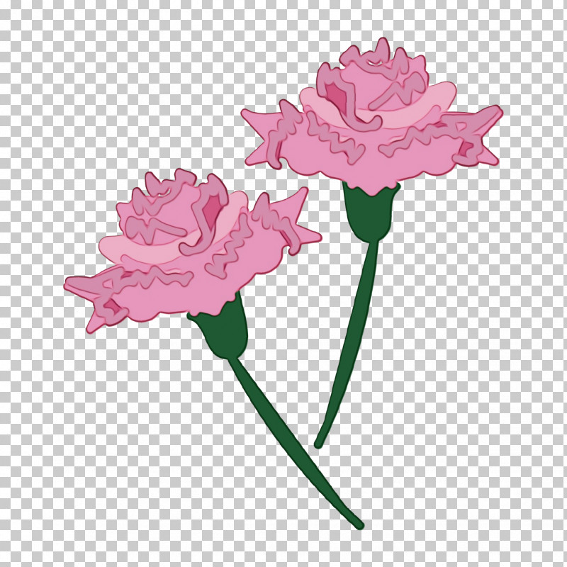 Flower Pink Cut Flowers Plant Petal PNG, Clipart, Cut Flowers, Flower, Paint, Pedicel, Peony Free PNG Download