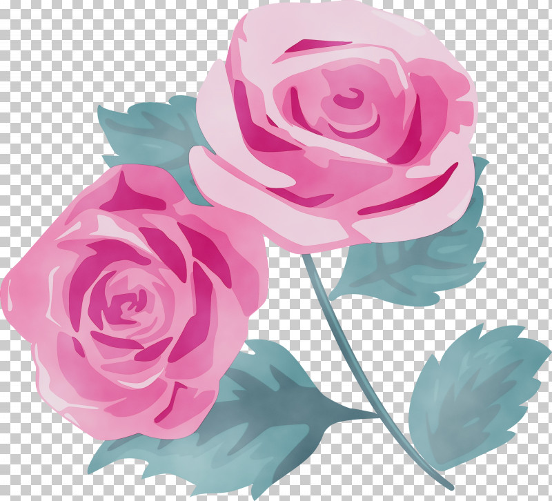 Garden Roses PNG, Clipart, Floribunda, Flower, Garden Roses, Hybrid Tea Rose, Paint Free PNG Download