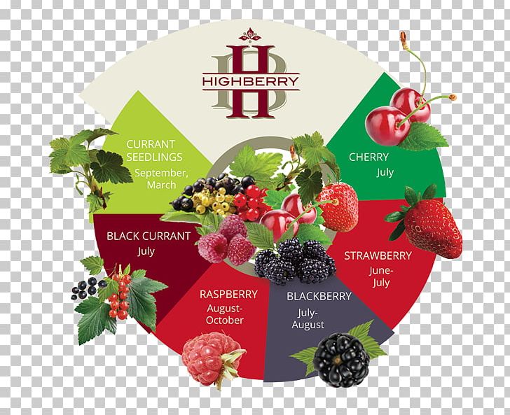 Boysenberry Raspberry Vegetable Fruit PNG, Clipart, Auglis, Berry, Boysenberry, Company, Currant Free PNG Download