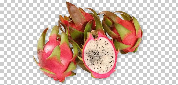 Pitaya South America Fruit .com PNG, Clipart, Americas, Com, Dragonfruit, Food, Fruit Free PNG Download