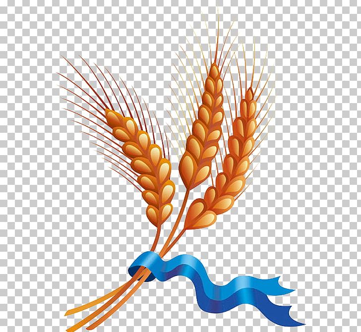 Wheat Cereal Harvest PNG, Clipart, Cartoon, Commodity, Ear, Element, Explosion Effect Material Free PNG Download