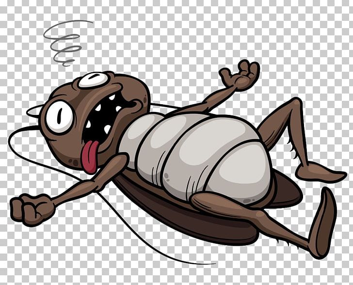 Cockroach Insect Cartoon PNG, Clipart, Animals, Carnivoran, Cockroaches, Cockroach Kitchen Bench, Dead Duck Fainted Bird Free PNG Download