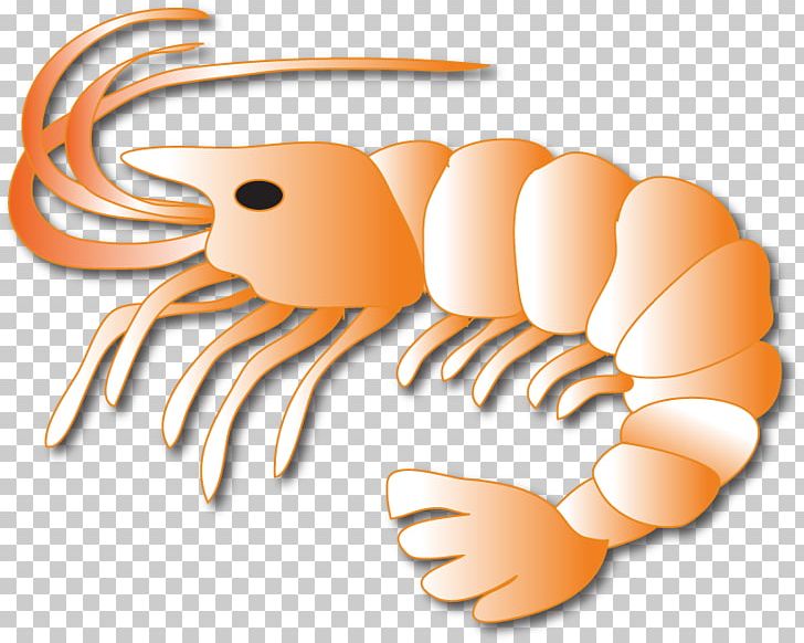 Crab Lobster Leftovers Logo Shrimp PNG, Clipart, Animals, Animal Source Foods, Crab, Crustacean, Decapoda Free PNG Download