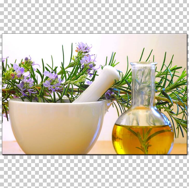 Essential Oil Rosemary Oil Aromatherapy PNG, Clipart, English Lavender, Essential, Flower, Flowerpot, Food Free PNG Download