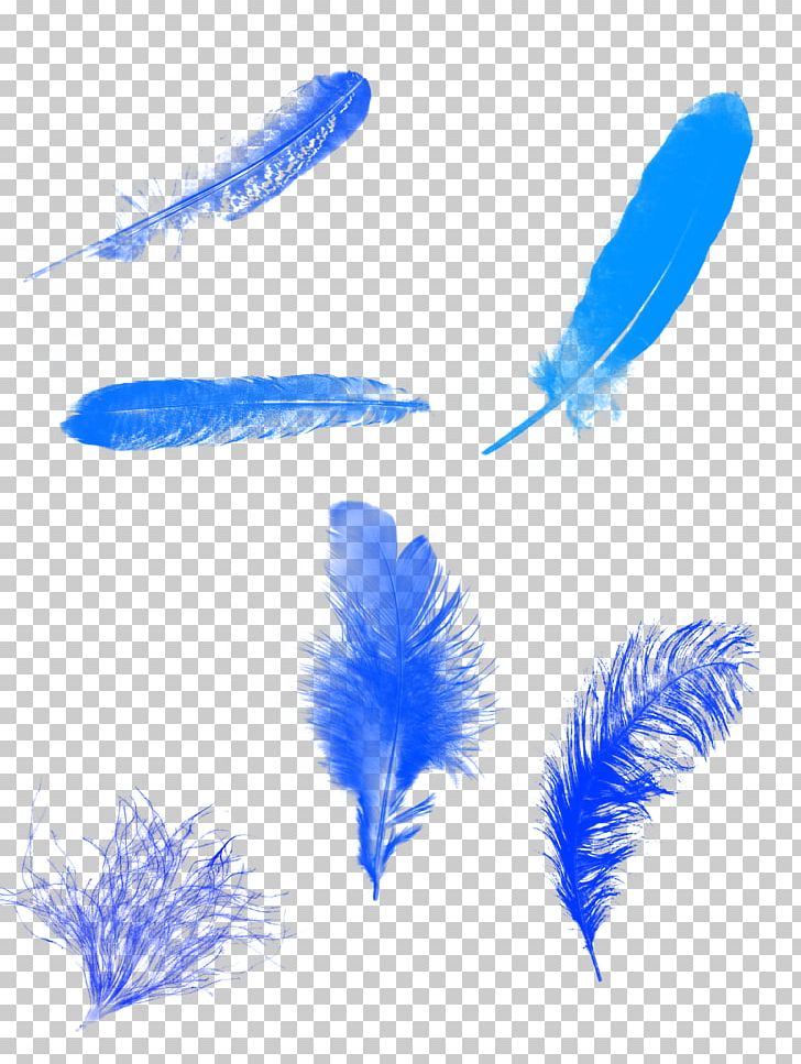 Feather Blue Euclidean Computer File PNG, Clipart, Animals, Background, Blue, Blue Abstract, Blue Background Free PNG Download