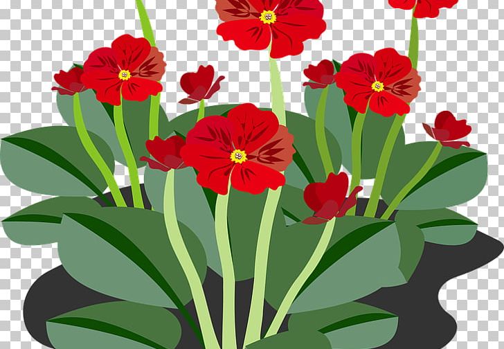 Flowering Plant Flowering Plant PNG, Clipart, Annual Plant, Common Daisy, Computer Icons, Cut Flowers, Desktop Wallpaper Free PNG Download