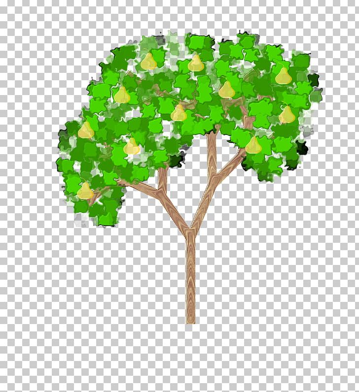 Fruit Tree Pyrus × Bretschneideri PNG, Clipart, Asian Pear, Branch, Computer Icons, Fruit, Fruit Tree Free PNG Download