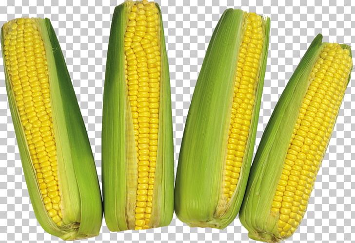 Maize Sweet Corn Corn On The Cob PNG, Clipart, Commodity, Computer Icons, Corn, Corn Kernels, Corn Nut Free PNG Download